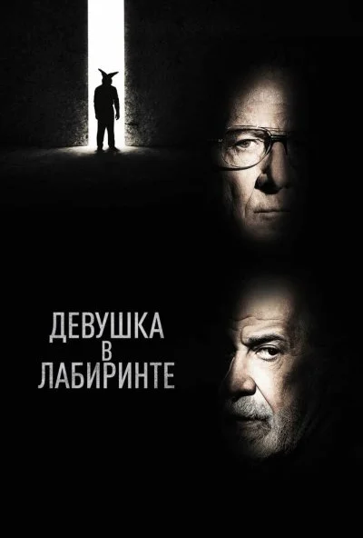 Девушка в лабиринте (2019) онлайн бесплатно