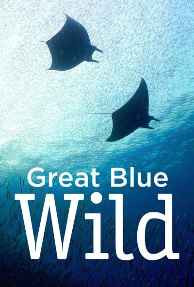 Great Blue Wild (2015) онлайн бесплатно