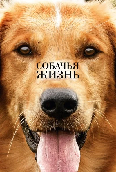 Собачья жизнь (2017)