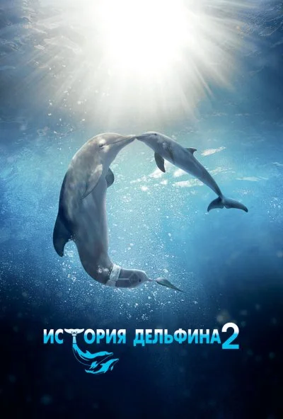 История дельфина 2 (2014) онлайн бесплатно