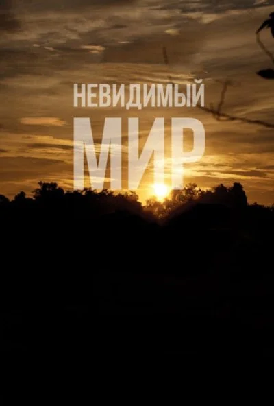 Невидимый мир (2012) онлайн бесплатно